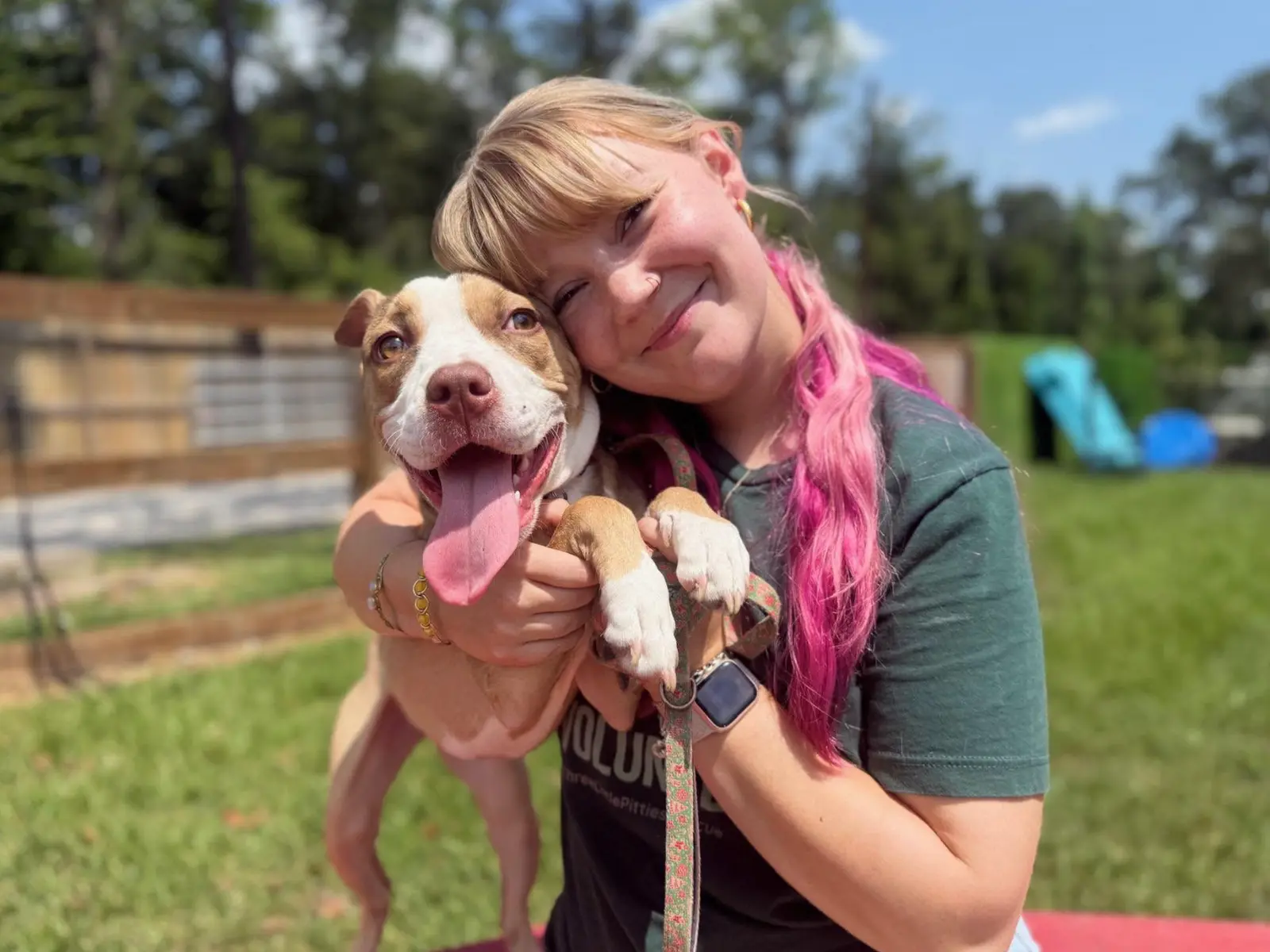 Three Little Pitties rescue dedication