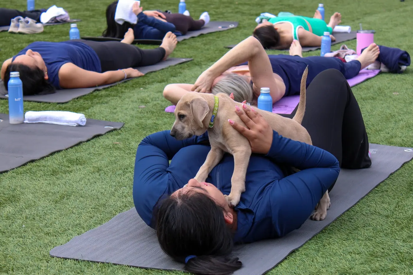 Three Little Pitties community event photo 2