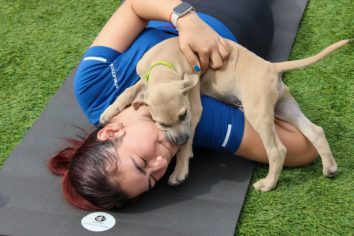 Three Little Pitties community event photo 7
