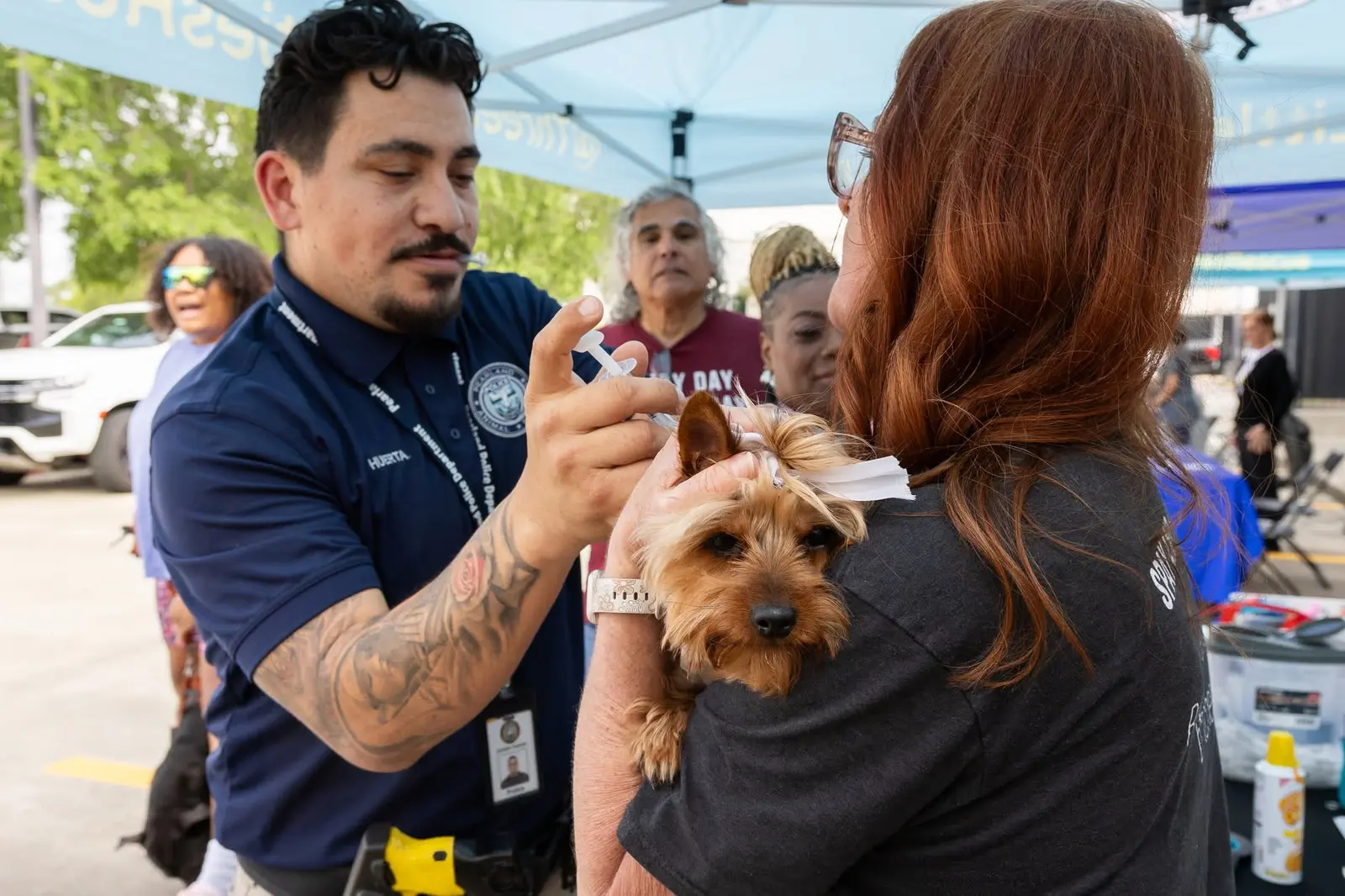 A community pet receiving a vaccine