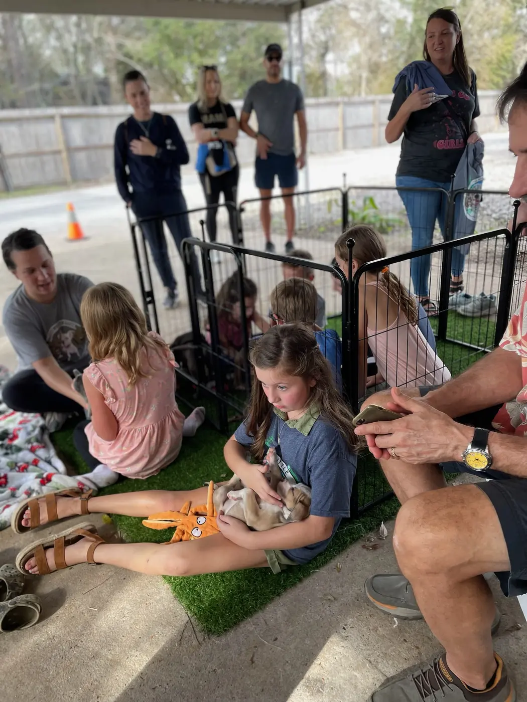 Puppy party success photo 1