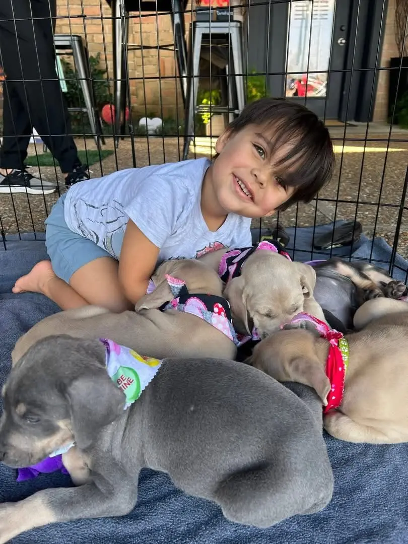 Puppy party success photo 6